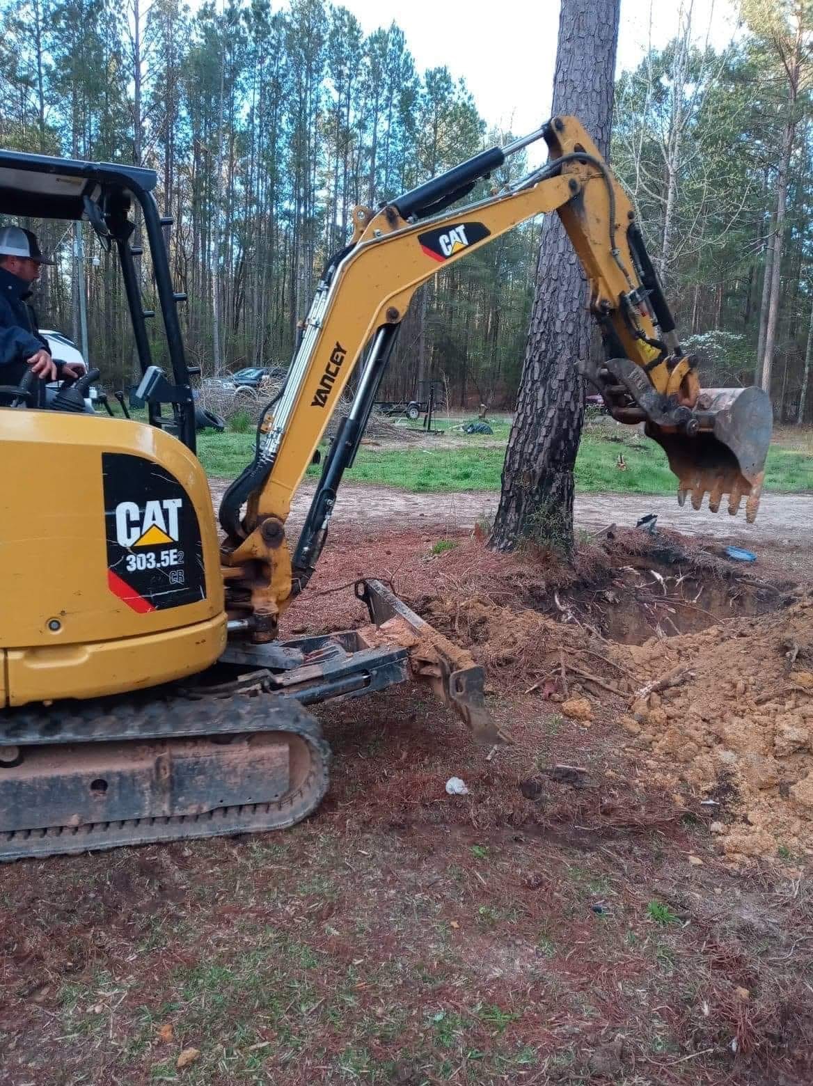 Tree Removal